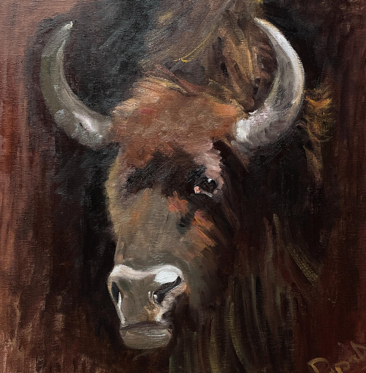 Bison head, 50x50